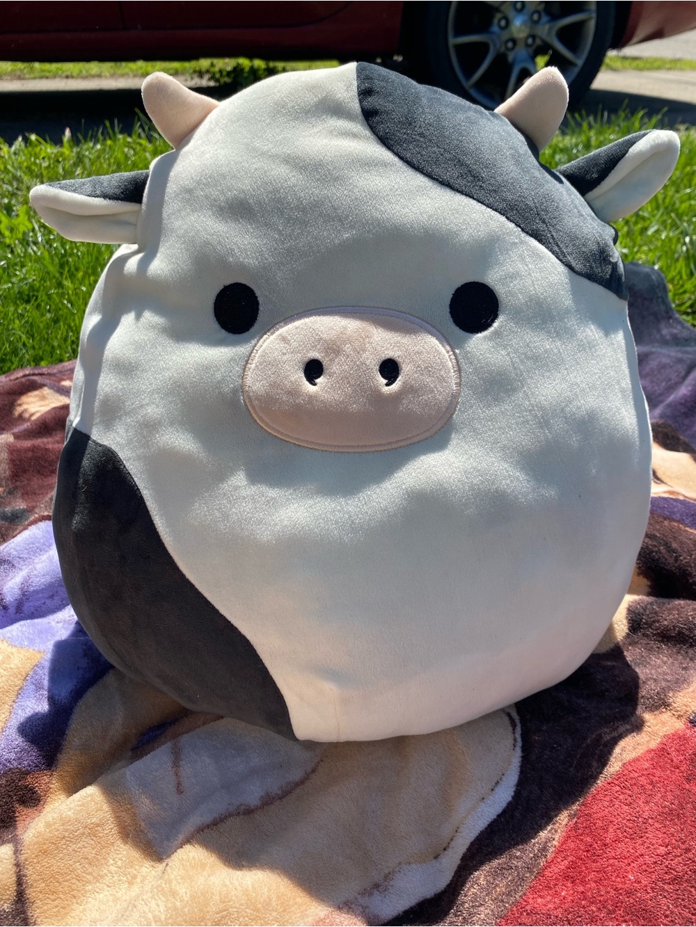 Squishmallows Connor the Cow 12" Plush - Original Kellytoy Black & White Cow